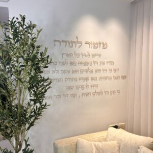 קיט מזמור לתודה דגם הריעו
