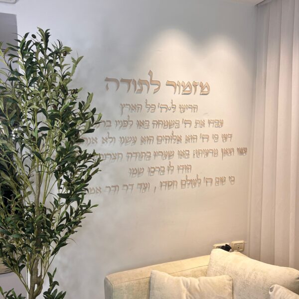 קיט מזמור לתודה דגם הריעו